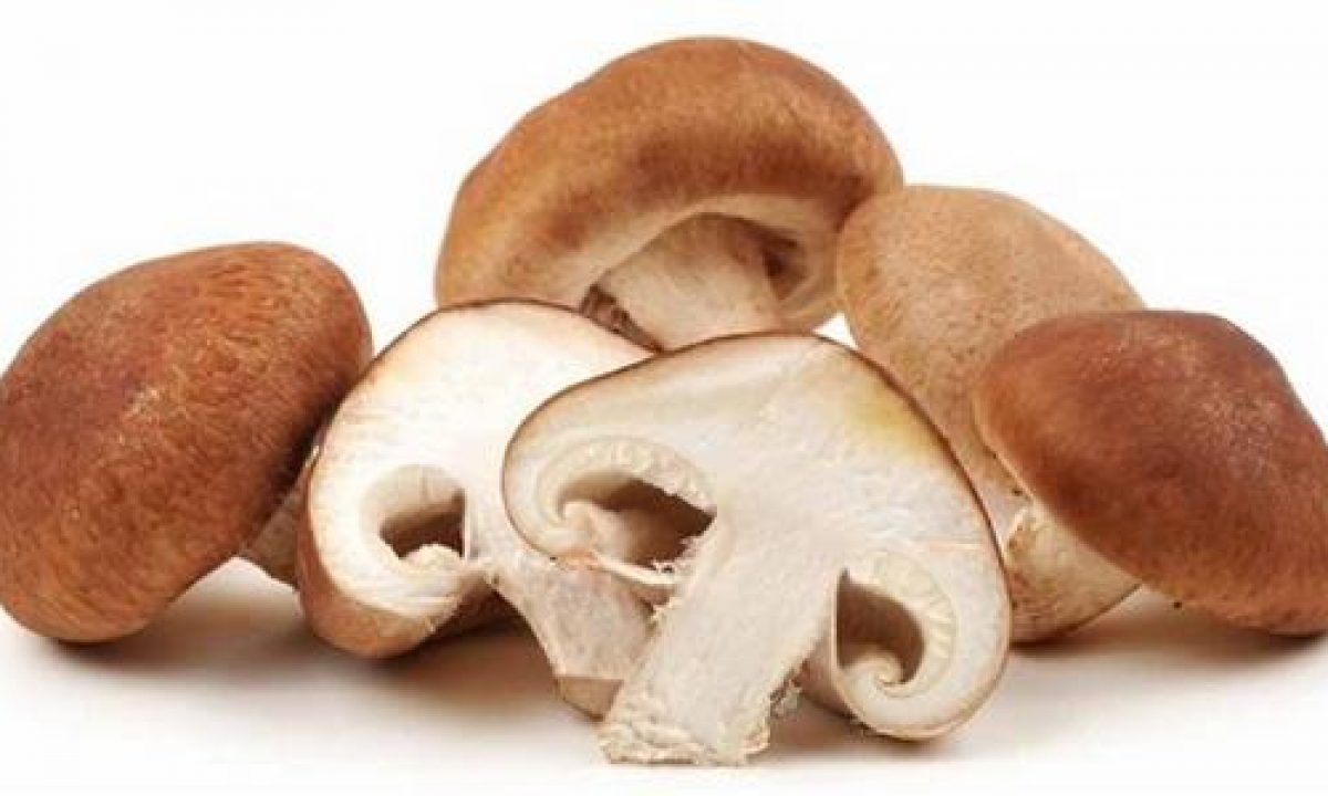 15 Makanan Sumber Kolin Untuk Ibu Hamil